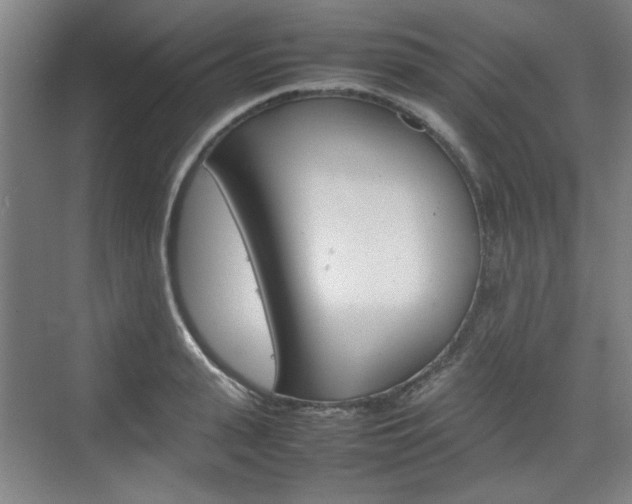 X0000074930943200609010915
