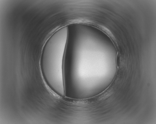 X0000074930946200609010915