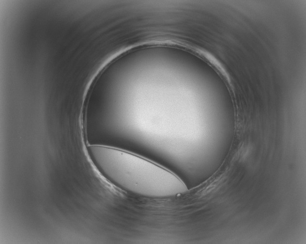 X0000074930951200609010916