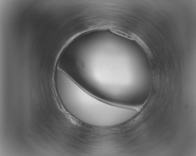 X0000074930956200609010916