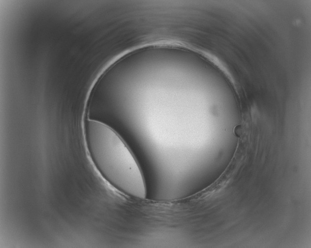 X0000074930959200609010916