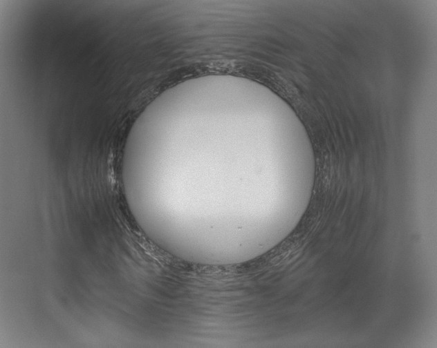 X0000074930962200609010915