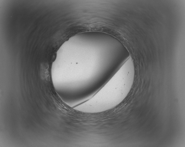 X0000074930963200609010915