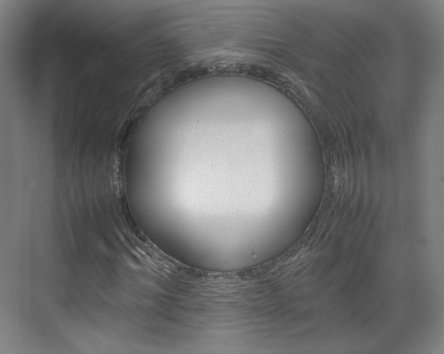 X0000074930964200609010915