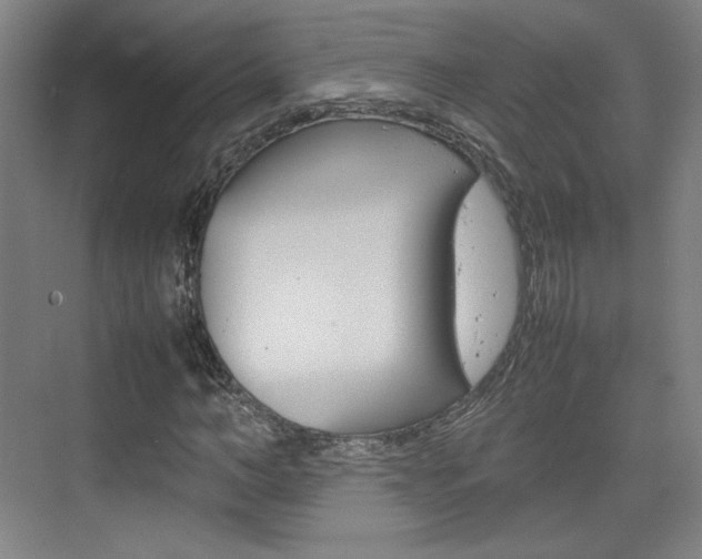 X0000074930966200609010915
