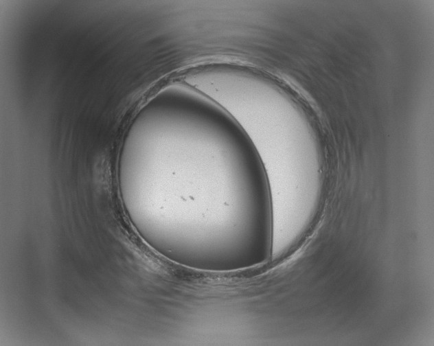 X0000074930969200609010915