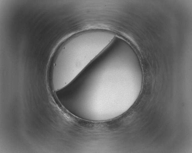 X0000074930979200609010915