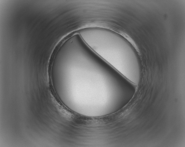 X0000074930980200609010915