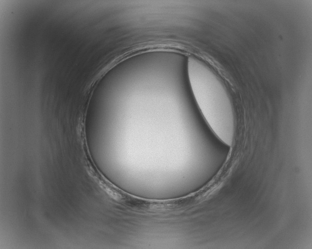 X0000074930985200609010914