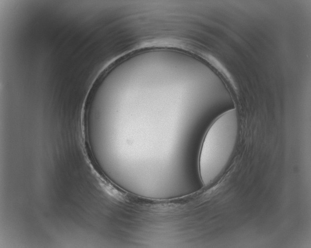 X0000074930988200609010914