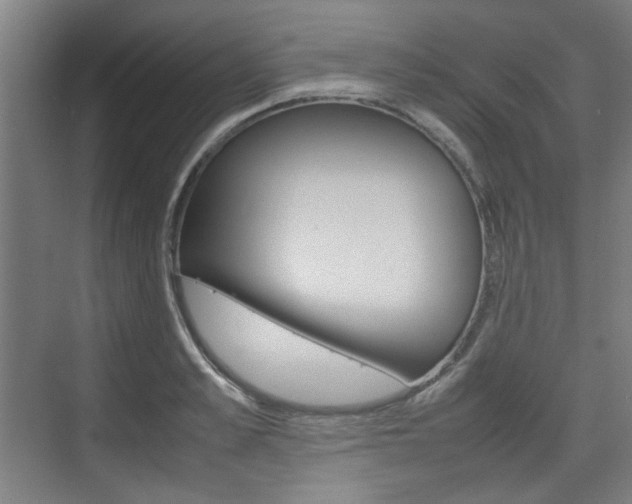 X0000074930989200609010914