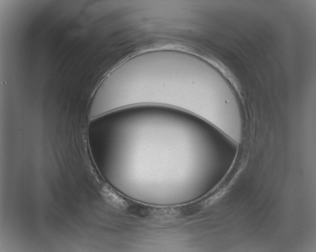 X0000074931001200609010914
