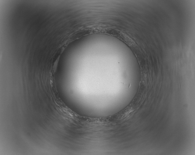 X0000074931010200609010913