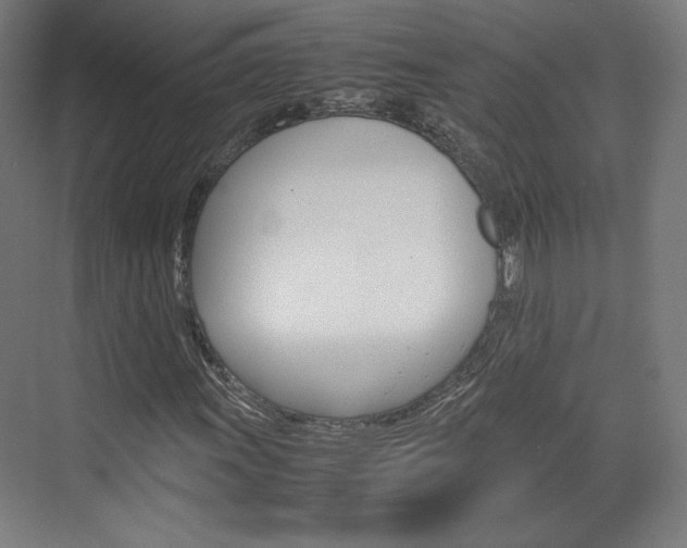 X0000074931011200609010913