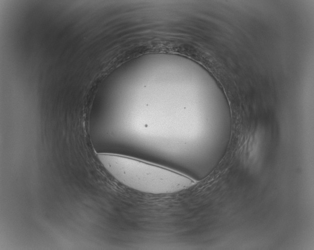 X0000074931013200609010913