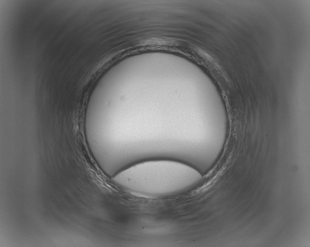 X0000074931017200609010913