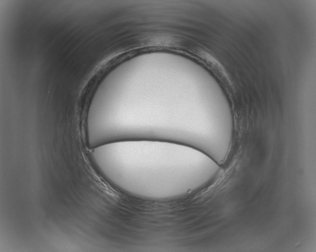 X0000074931019200609010913