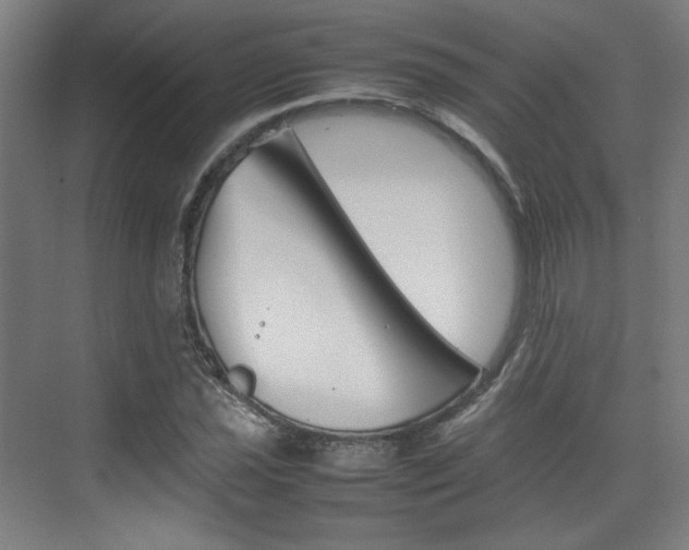 X0000074931021200609010913
