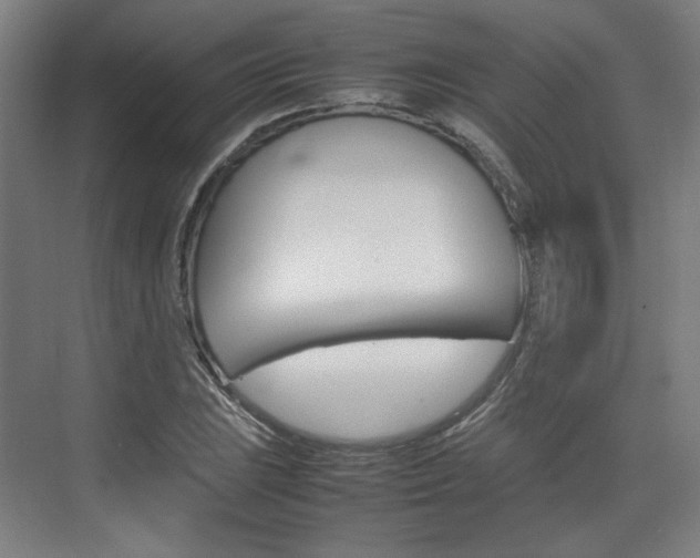 X0000074931023200609010913