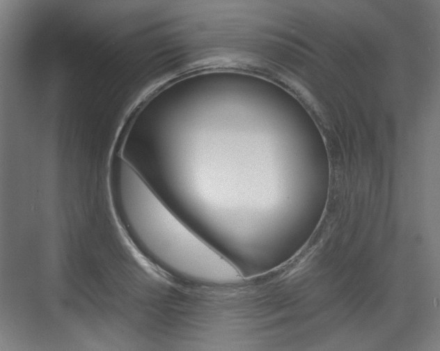 X0000074931034200609010914
