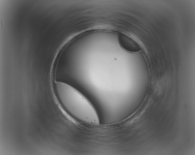X0000074931037200609010914