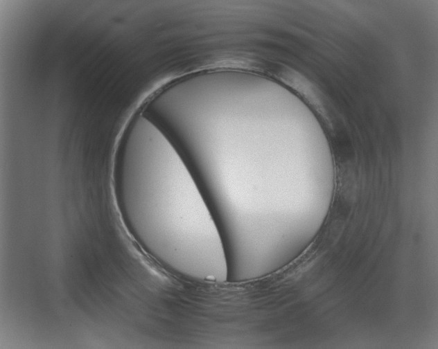 X0000074931043200609010914