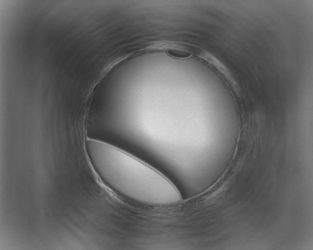 X0000074931049200609010914