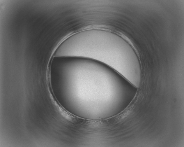 X0000074931050200609010914