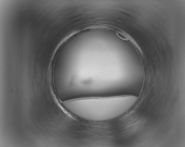 X0000074931053200609010914