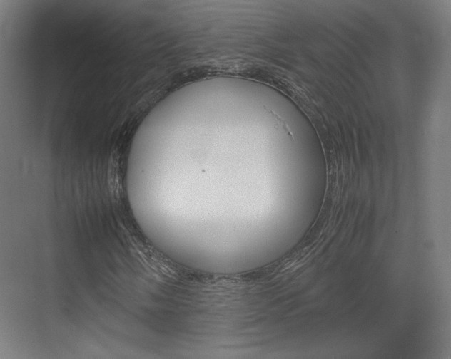 X0000074931058200609010913