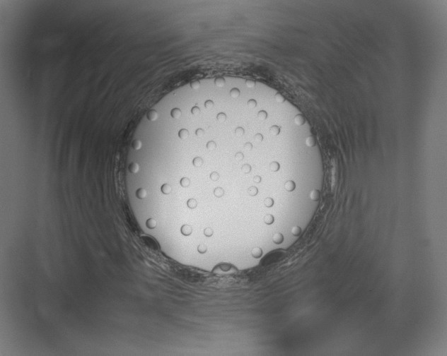 X0000074931059200609010913