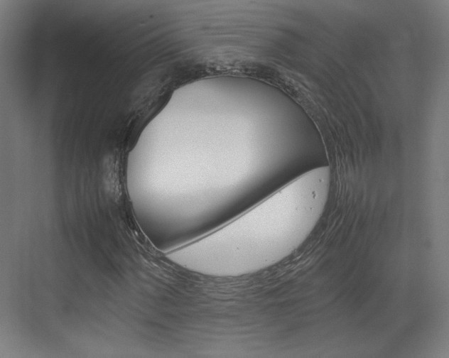 X0000074931060200609010913