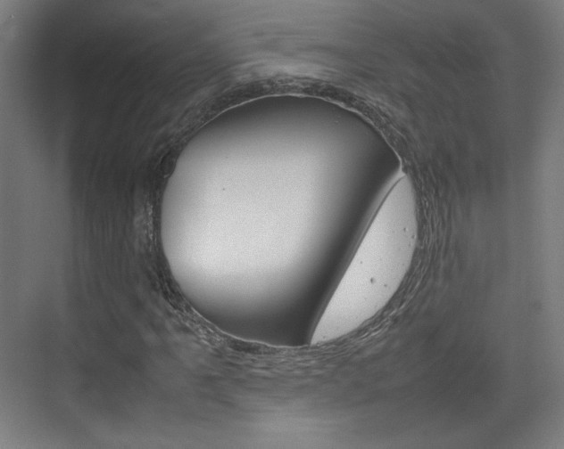 X0000074931061200609010913