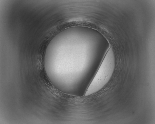 X0000074931062200609010913