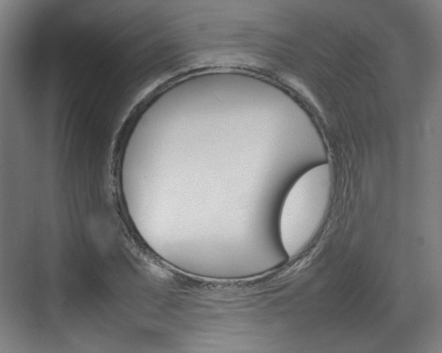 X0000074931071200609010913
