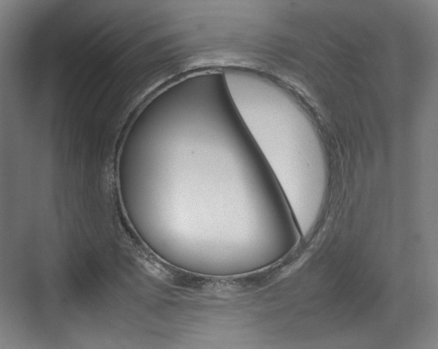 X0000074931073200609010913