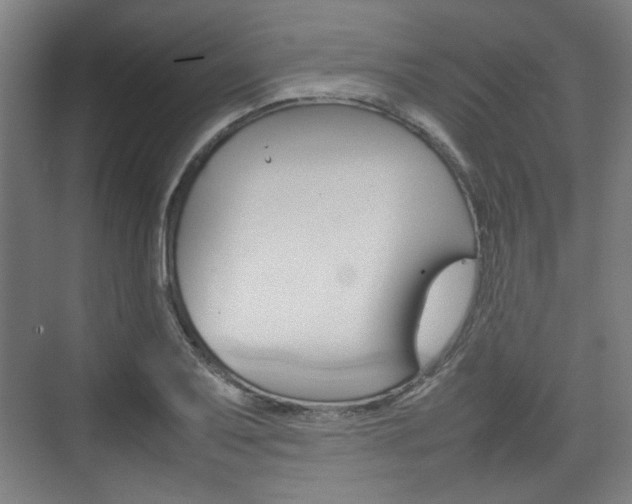 X0000074931079200609010913