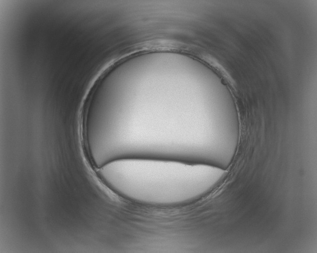 X0000074931083200609010913