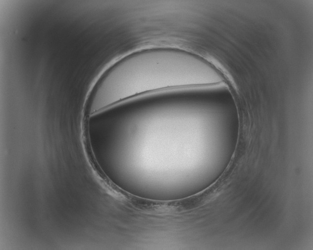 X0000074931085200609010913