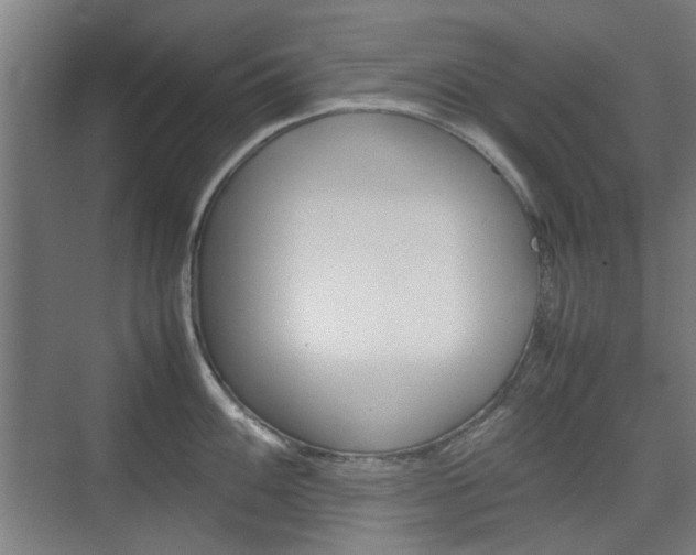 X0000074931100200609010913