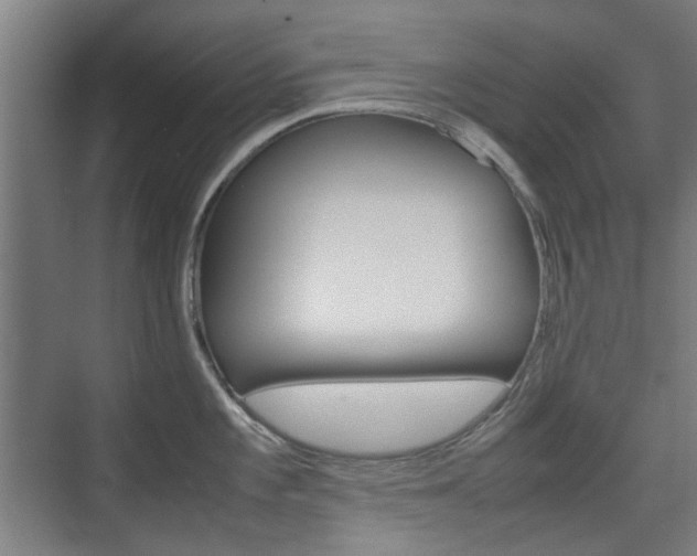 X0000074931101200609010913