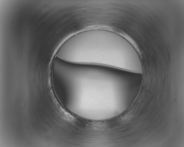 X0000074931102200609010912