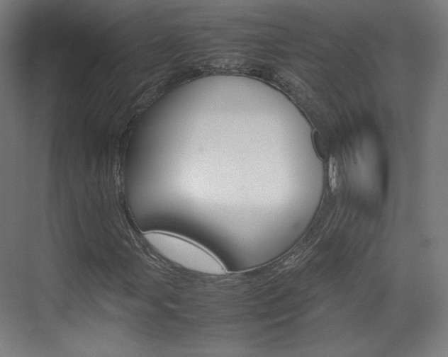 X0000074931107200609010912