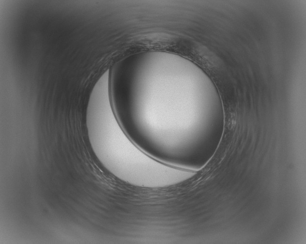 X0000074931108200609010912