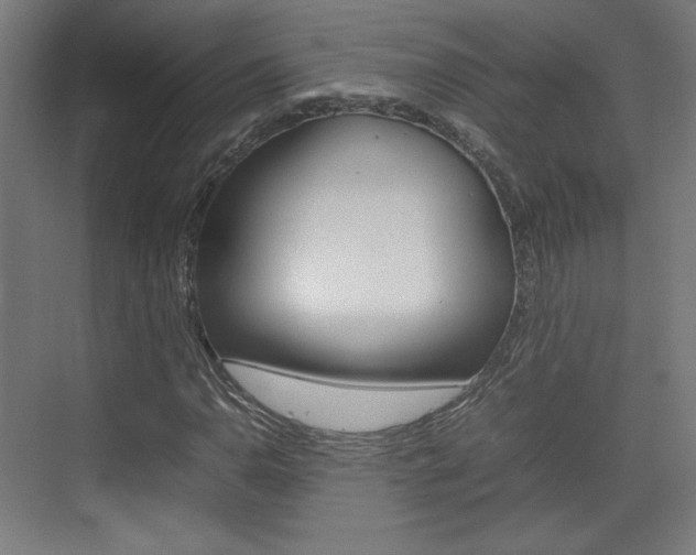 X0000074931110200609010912