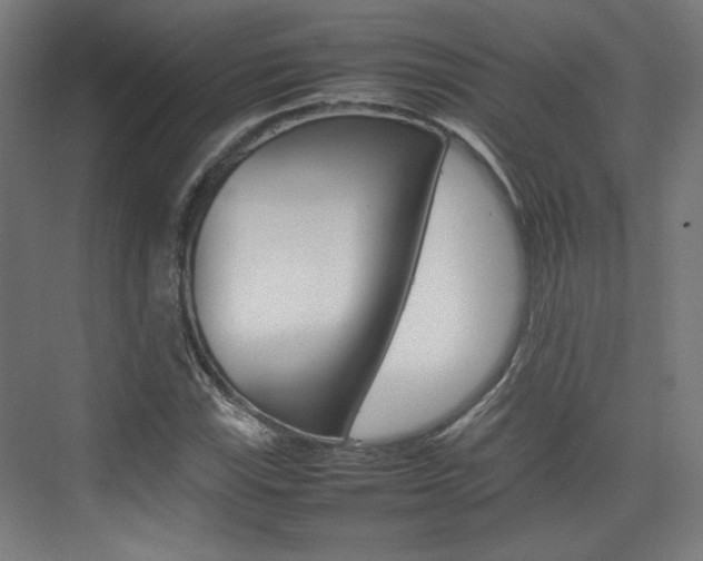 X0000074931115200609010912