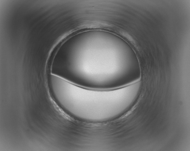X0000074931122200609010912