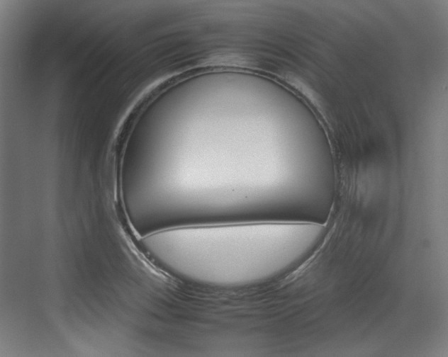 X0000074931123200609010912