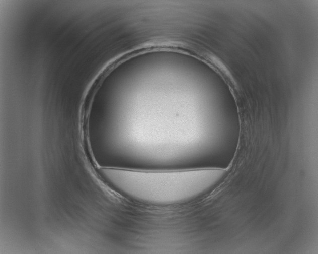 X0000074931124200609010912