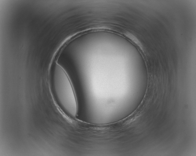 X0000074931127200609010912
